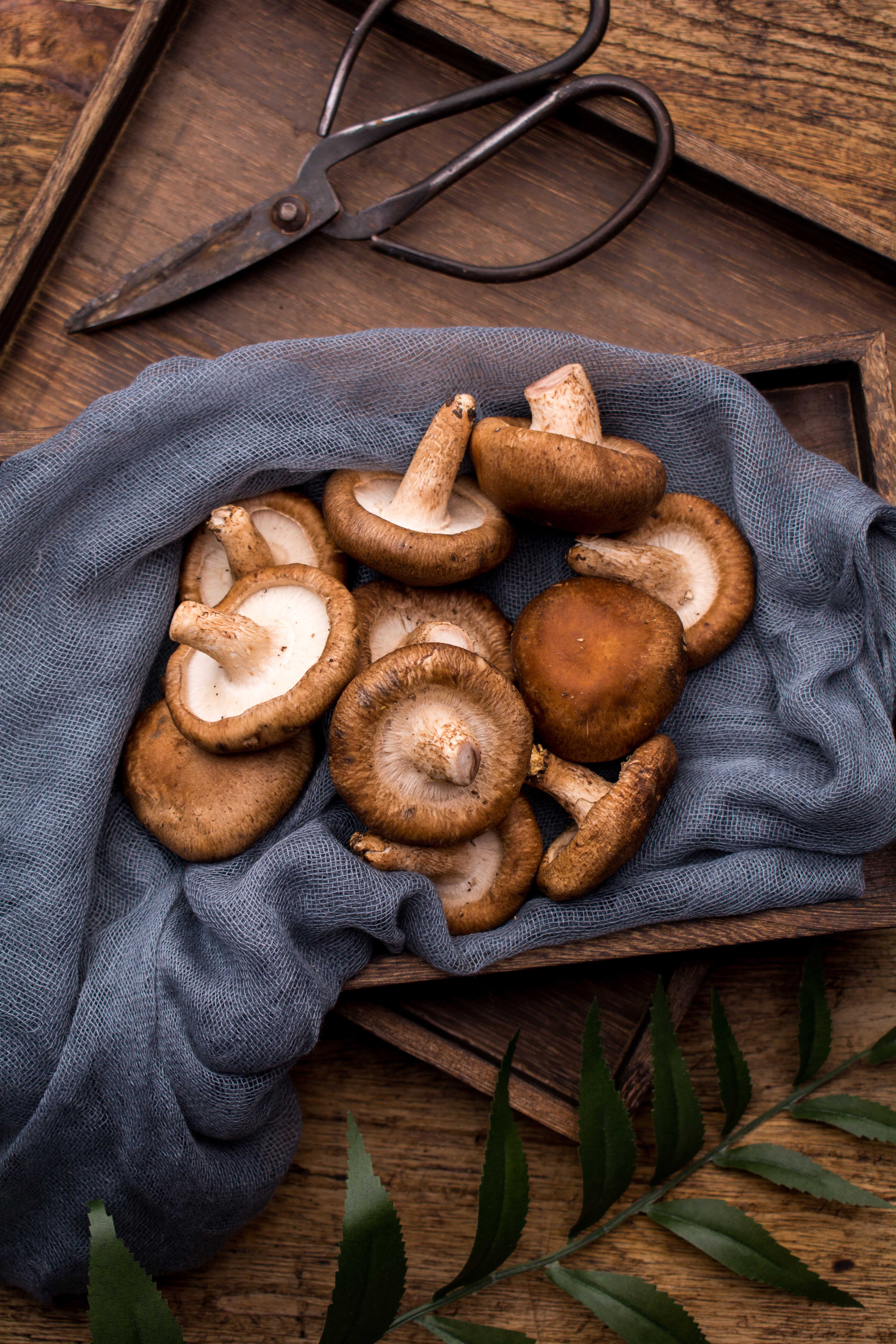 汉滨干香菇500g地道食材肉质厚实鲜嫩香滑