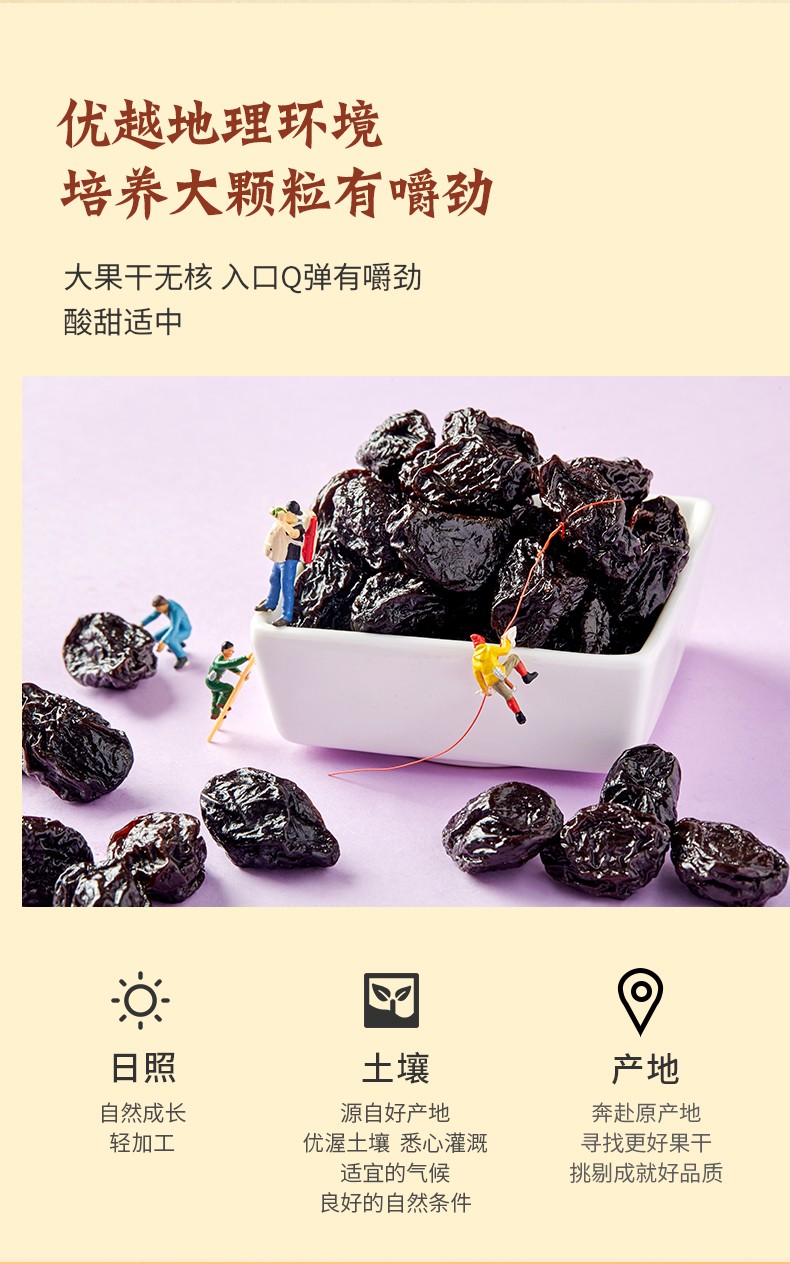 臻味智利无核西梅干200g2袋